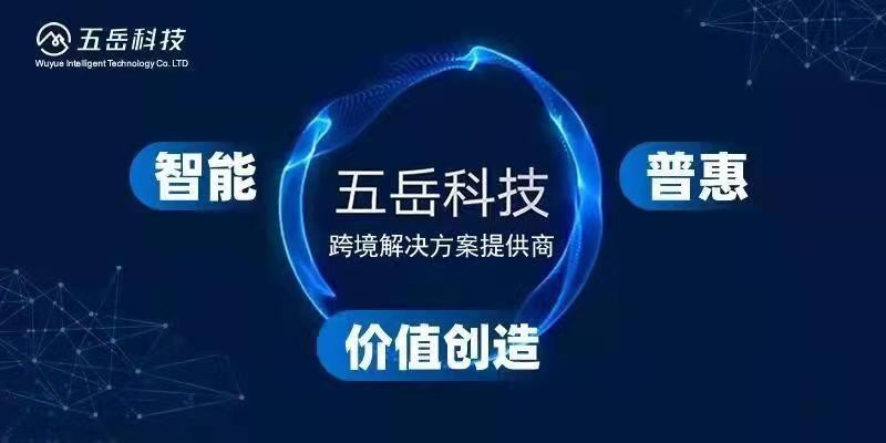 备受瞩目 五岳科技第十届中国创新创业大赛广东赛区决赛斩获优胜奖